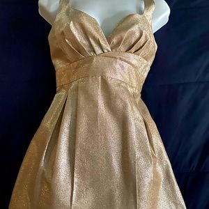 Laila Shimmery Cocktail Party- Holiday-perfect wedding guest dress- size 2
